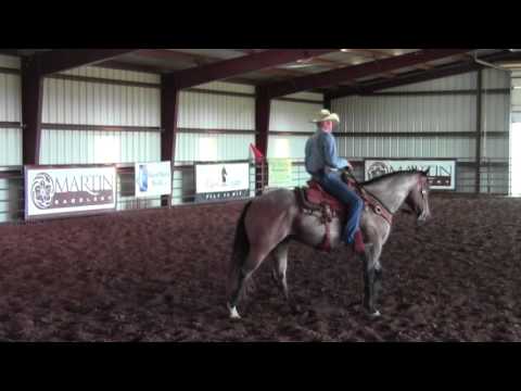 Training Tip Tuesday- Keeping Your Performance Horse Soft