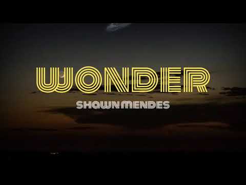 Shawn Mendes - wonder