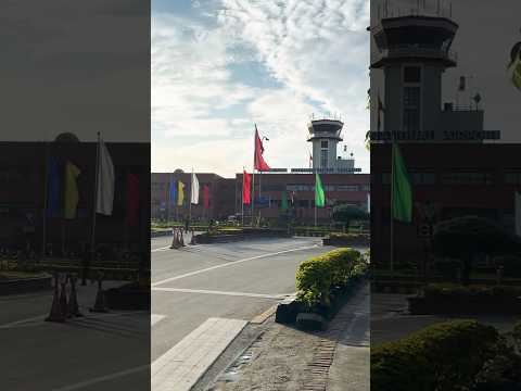 Breathtaking Mountain Views from 30,000 Feet ✈️⛰️ #duet #viral #art #scenery #pets #goviral