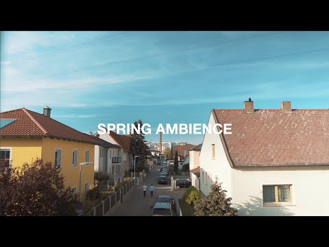 Spring Ambience | Neighbourhood with Bird, Dog, Car Sounds [1 Hour, 4K]