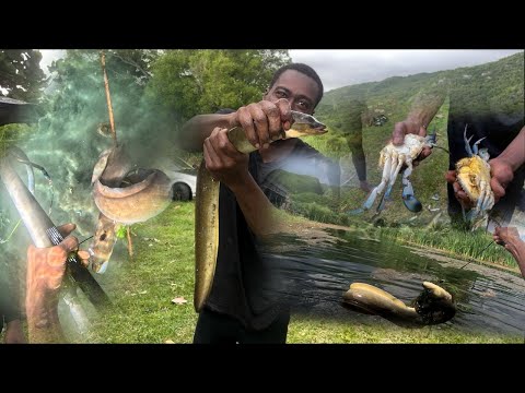 Spearfishing in the frigid water for crabs, eel and fish. This is how we corn the eel