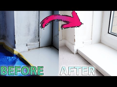 Shockingly Easy and Powerful Mold Removal Method!