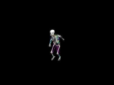 Biomechanical Human Simulation:  Charleston Dancing
