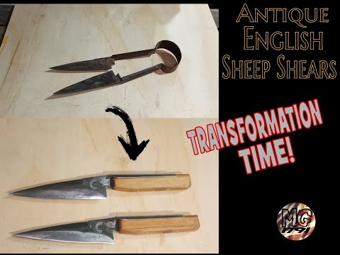 Transformation Time!  Rusty antique British sheep shears into a serious set of kitchen knives!