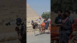 Exploring Cairo 🇪🇬  #greatpyramidsofgiza #blackandabroad #blackgirltravel #expatteacher