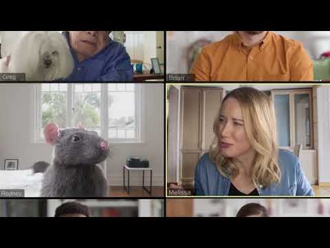 Hulett Video Call | Hulett Environmental Services