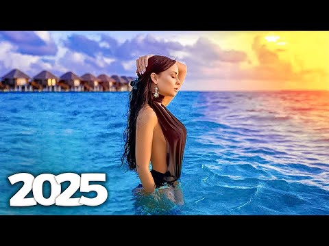 Avicii, Marshmello, Alok, Kygo & Martin Garrix, The Chainsmokers Style - Summer Lounge