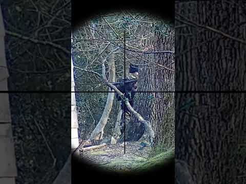 ClipCam Compilation Part 5 #airsoft #airsoftuk #capcut #sniperclips
