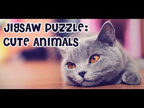 Video Presentation of "Jigsaw Puzzle: Cute Animals" Game for Android Devices