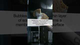 The Surprising Science Behind Bubbles: Nature's Beautiful Orbs