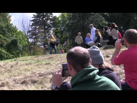Eagle Release in Minnesota