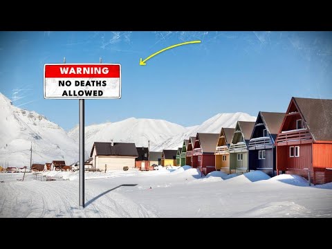 The European City Where it's  Illegal To Die (And Be Buried)