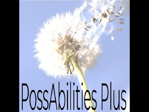 PossAbilities Plus   Our Success Stories