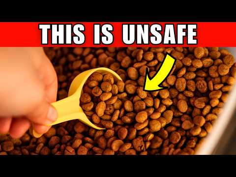 Avoid These 7 Mistakes When Storing Dry Dog Food