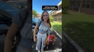 Difficulties of Having a Service Dog #dogtraining #goldenretriever #servicedogteam #servicedog