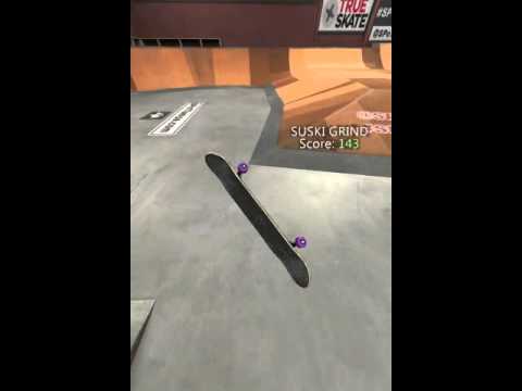 True Skate - Skatepark of Tampa