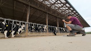 Running a Dairy Farm