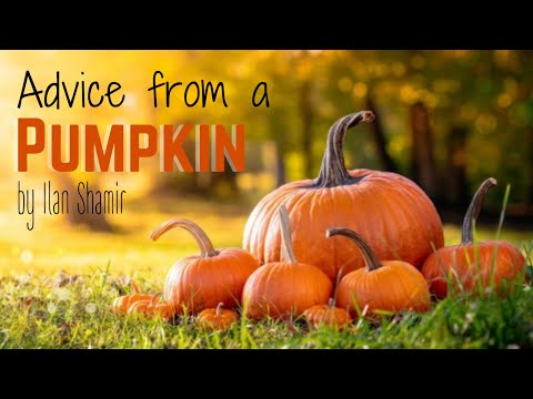 Advice from a Pumpkin by Ilan Shamir