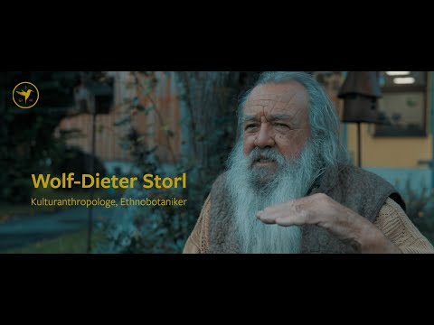 14 KOGI - Der Wolf in Legau
