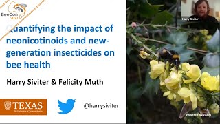 Quantifying the Impact of Neonicotinoids and New-generation Insecticides on Bee Health