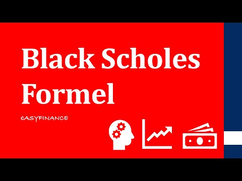 Black Scholes Model | Was ist die Black Scholes Formel? (Ausführlich) | einfach erklärt