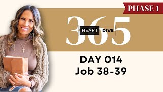 Day 014 Job 38-39 | Daily One Year Bible Study | Audio Bible Reading with Commentary