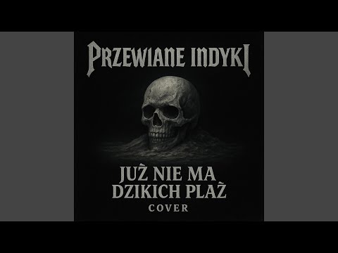 Już nie ma dzikich plaż