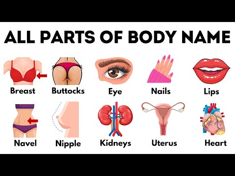 All Body Parts Name | Basic Parts of Body | Name of Body Parts in English with Pictures #bodyparts