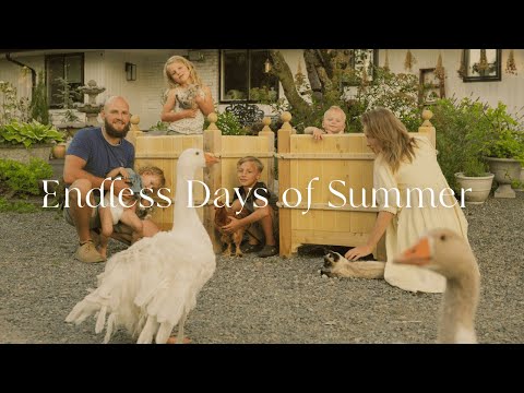 #23 Countryside Garden Projects | Slow Summer Days, DIY Versailles Planters on a Budget