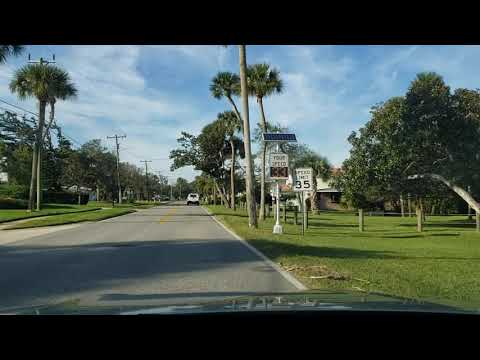 Florida swamp drive/ Rainforest