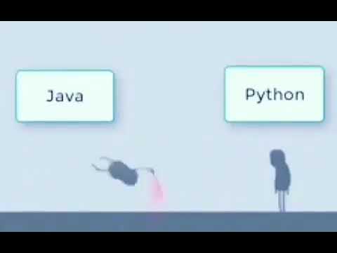 Python va Java