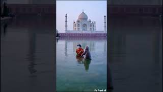 🐧✨  Penguin Bliss at the Taj Mahal! 🎉