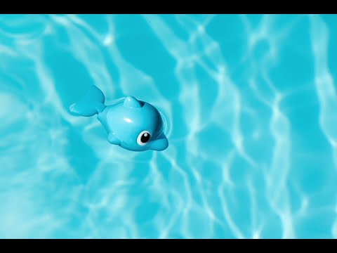 Fish Frenzy | Locura de Peces