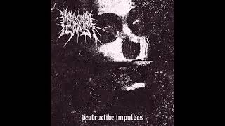 Embracing Escapism - Destructive Impulses [2021] (chaotic/progressive/techgrind/math/experimental)