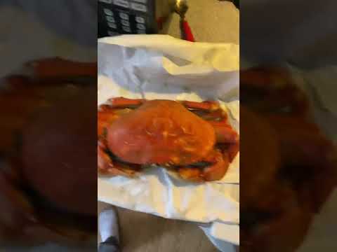 I got crabs!!