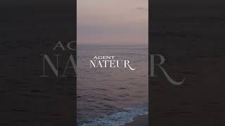 Agent Nateur Ageless Malibu Beach House Masterclass