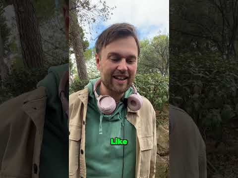How ENTPs Talk: ENTP Speech Patterns And Articulation