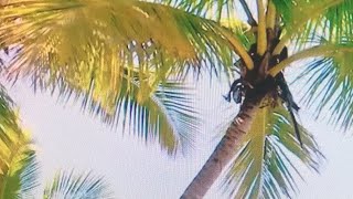 Machine Vlog is live!