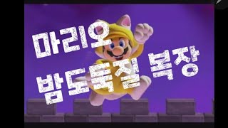 [슈퍼마리오 메이커2] #3화 고양이가 된 마리오 메이커 할만한가~