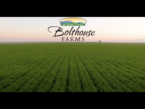 Customer Testimonial: Bolthouse Farms
