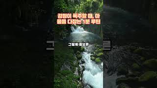 감정이 폭주할 때, 마음을 다잡는 1분 루틴