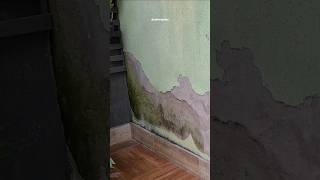 I DIED AND DIDN'T KNOW: HOW TO SOLVE DAMP IN SKIRTING BOARDS #shorts #diy #wall #work #constructi...