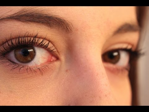 Golden Nights Eyeshadow Tutorial!