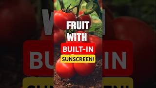 DID YOU KNOW! Quick Facts About Fruits #shorts #didyouknow #quickfacts