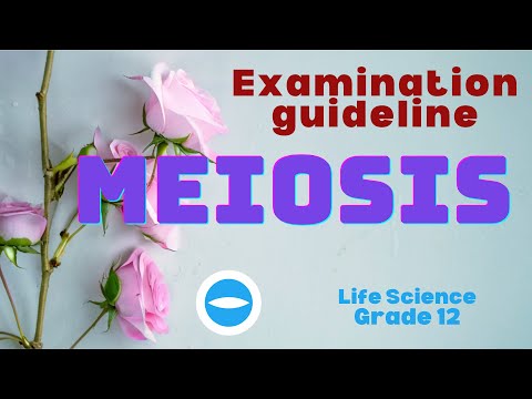 Life Science | Examination guideline | Meiosis | Grade 12.