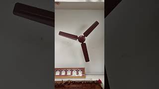 Inky Pinky Ponky Ceiling Fan