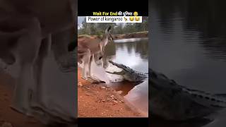 Animals ke Funny karname 😂😅||#funny #animals #shorts