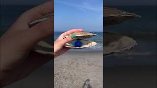 LOOKING FOR FIDGETS at the BEACH! 🌊😱🐢 *strange amazon fidgets*