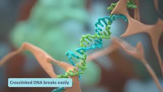 Cancer genomics - getting high quality DNA from tumour samples