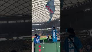 Behind the home Seibu Lions’ cheering section at Belluna Dome, Saitama, JP - June 12, 2025